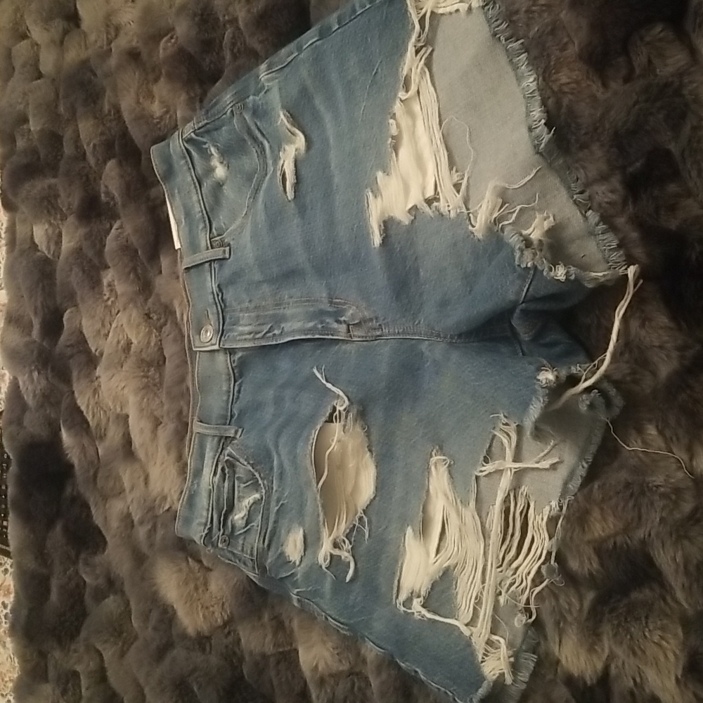 American Eagle Shorts BNWT